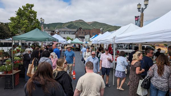 Temecula Farmer’s Market by null