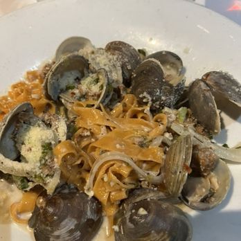 Reel Seafood - Clams Tagliatelle - Seafood Near Me - Woodstock, Georgia Reel Seafood - Clams Tagliatelle - Seafood Near Me - Woodstock, Georgia