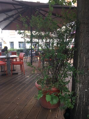 Cafe Mezzo by null
