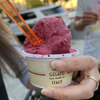 Pappalecco - Berry flavor gelato! - Sandwiches Near Me - San Diego, California Pappalecco - Berry flavor gelato! - Sandwiches Near Me - San Diego, California