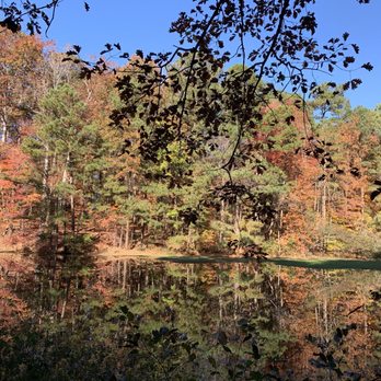 Apex Community Park - Parks Near Me - Apex, North Carolina