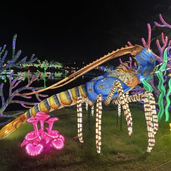 Tianyu Lights Festival - Festivals Near Me - Phoenix, Arizona Tianyu Lights Festival - Festivals Near Me - Phoenix, Arizona