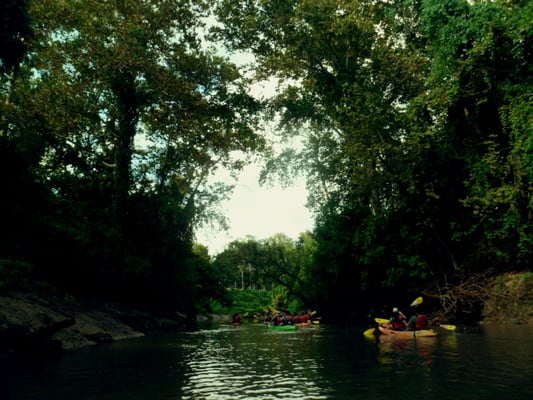 Bayou City Adventures by null