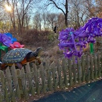 Bronx Zoo - So colorful and interesting - Zoos Near Me - Bronx, New York