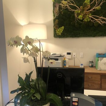Pacific Heights Dental Studio - General Dentistry Near Me - San Francisco, California