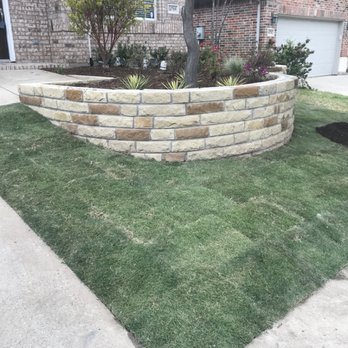 Texas Rainman - Zeon zoysia - Landscaping Near Me Texas Rainman - Zeon zoysia - Landscaping Near Me