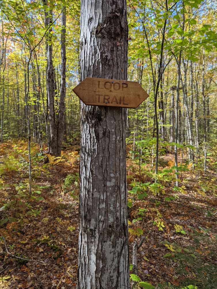 SABATTUS MOUNTAIN Updated September 2024 20 Photos Sabattus