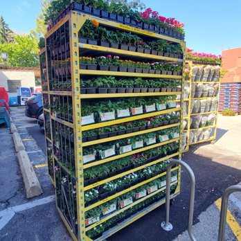 JC Licht Ace - Logan Square - Fresh shipment - Hardware Stores Near Me - Chicago, Illinois