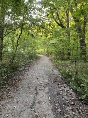 Cherokee Park by null