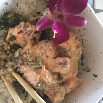 Barefoot Beach Cafe - Poki bowl - Breakfast & Brunch Near Me - Honolulu, Hawaii