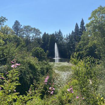 Sonoma Botanical Garden - Big pond - Botanical Gardens Near Me - Glen Ellen, California