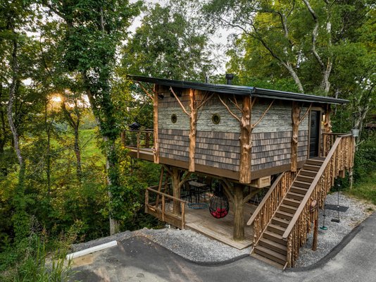 Sanctuary Treehouse Resort by null
