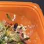 Photo of Salad and Go