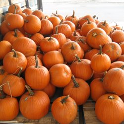 Heavenly Hill Farm