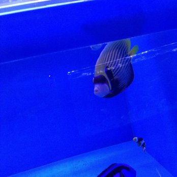 Rainbow Aquarium and Pond - Aquarium Services Near Me - Arleta, California