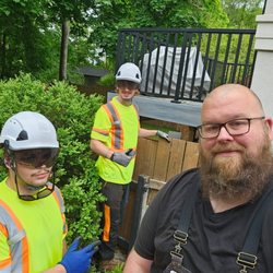 Vista Enhancement Tree Services