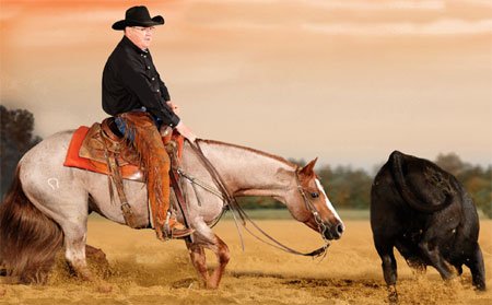 CT Bryant Cutting Horses Logo