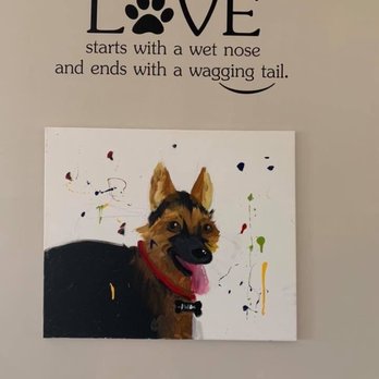 The Tails Inn - Pet Boarding Near Me - Warm Springs, Virginia The Tails Inn - Pet Boarding Near Me - Warm Springs, Virginia