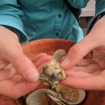 Tail O'the Pup - The dirt filled clam. - Barbeque Near Me - Ray Brook, New York
