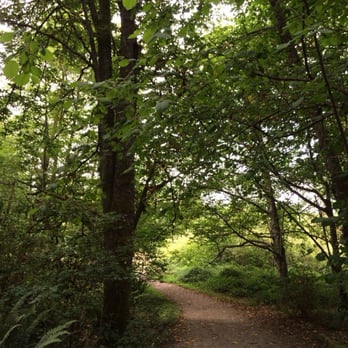Discovery Park - Gorgeous trail - Parks Near Me - Seattle, Washington Discovery Park - Gorgeous trail - Parks Near Me - Seattle, Washington