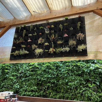 Moore Food - Plant decor - Food Trucks Near Me - Portland, Oregon