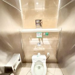 Louis Armstrong New Orleans International Airport MSY - Spacious bathroom, built-in shelf for bags, automatic seat cover change