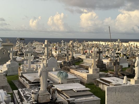 Cementerio Santa María Magdalena de Pazzis by null