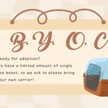 Kelly's Kitten Corner - Please bring your own carrier. - Animal Shelters Near Me - Yorba Linda , California Kelly's Kitten Corner - Please bring your own carrier. - Animal Shelters Near Me - Yorba Linda , California