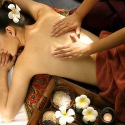 Thai Orchid