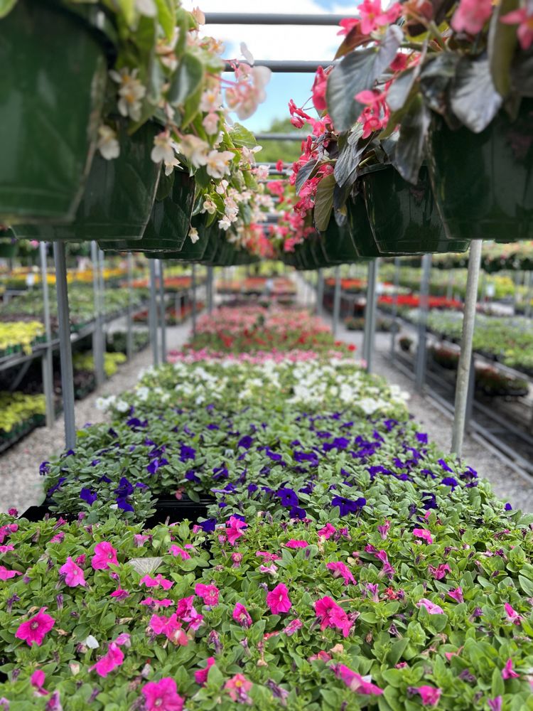 POPES AT CREEKSIDE 38 Photos 8718 S Northshore Dr, Knoxville