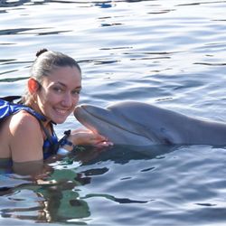 Delphinus