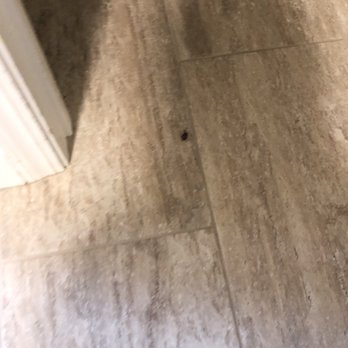 Biweekly Maid - Unswept floor - Home Cleaning Near Me Biweekly Maid - Unswept floor - Home Cleaning Near Me