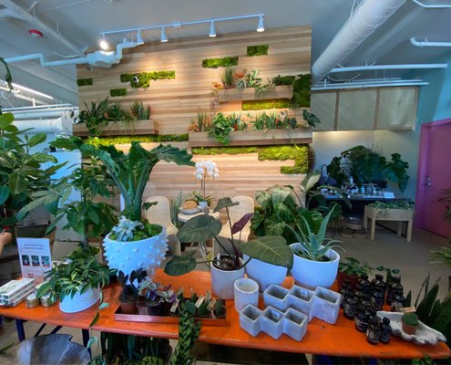 Botanical Bakeshop by null