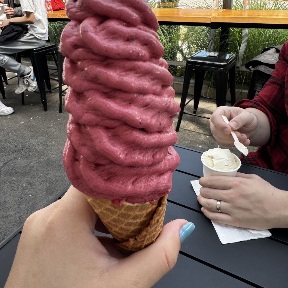 Many Bennies - Vegan base with strawberry - Ice Cream & Frozen Yogurt Near Me - Seattle, Washington