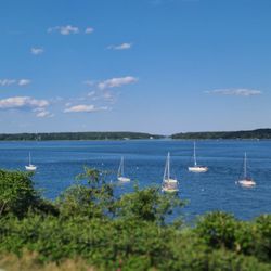 Webb Memorial State Park - Webb Park
