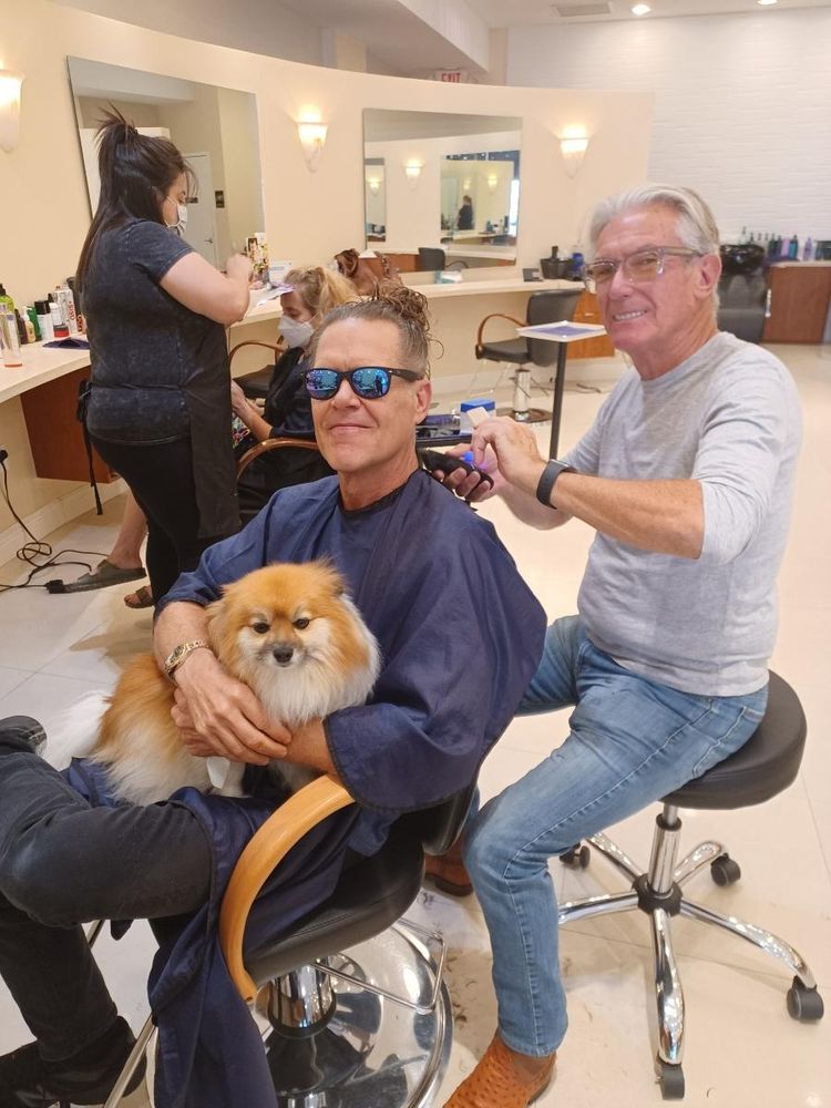 Serge Renard Salon Image