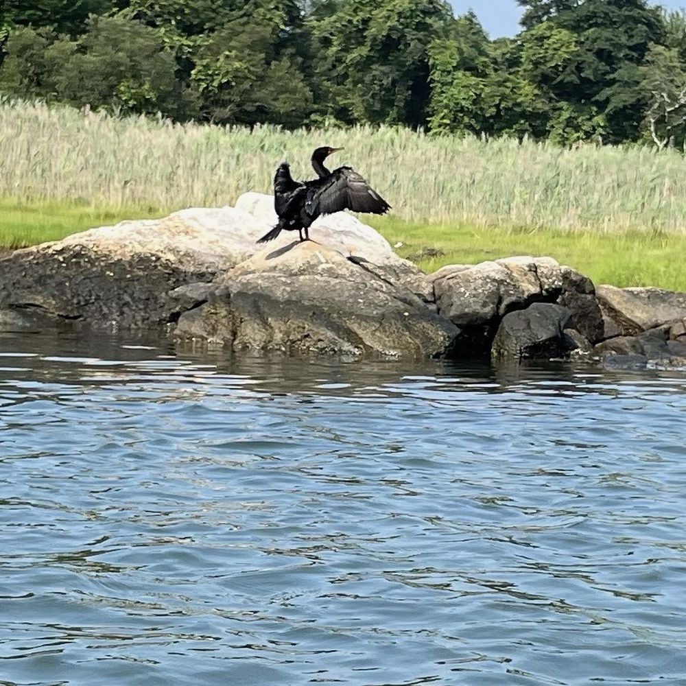 Narrow River Kayaks - Catching some rays - Rafting/Kayaking Near Me - Narragansett, Rhode Island Narrow River Kayaks - Catching some rays - Rafting/Kayaking Near Me - Narragansett, Rhode Island