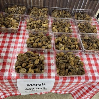 Wilson's Farm Market - Fresh Morel mushrooms - Grocery Near Me - Arcadia, Indiana Wilson's Farm Market - Fresh Morel mushrooms - Grocery Near Me - Arcadia, Indiana