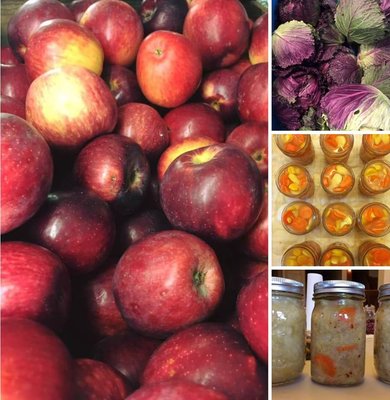 Midway Farms | Fresh Goods | Albany by null
