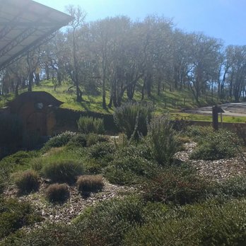 Lancaster Estate - I want a tour of that cave! - Wine Tasting Room Near Me - Healdsburg, California