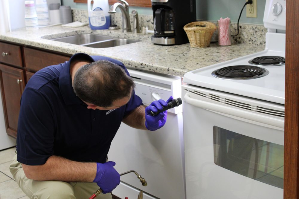 ECONOMY EXTERMINATORS Updated August 2024 24 Photos & 13 Reviews