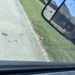 Animal Hospital - Poop bags