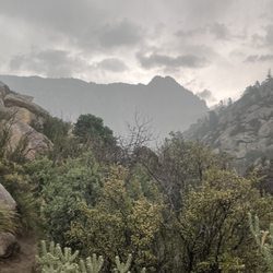 TWA Plane Crash Hiking Trail