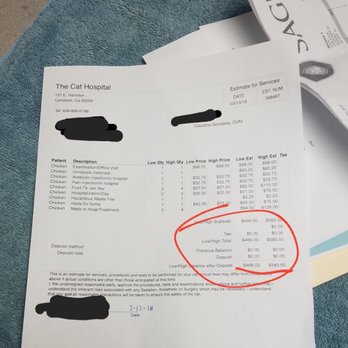 SAGE Veterinary Centers - Campbell - The Cat Hospital is nearly 5x cheaper for a longer, better treatment for my cat compared to SAGE! - Veterinarians Near Me - Campbell, California SAGE Veterinary Centers - Campbell - The Cat Hospital is nearly 5x cheaper for a longer, better treatment for my cat compared to SAGE! - Veterinarians Near Me - Campbell, California