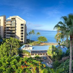 Hawaiian Haven