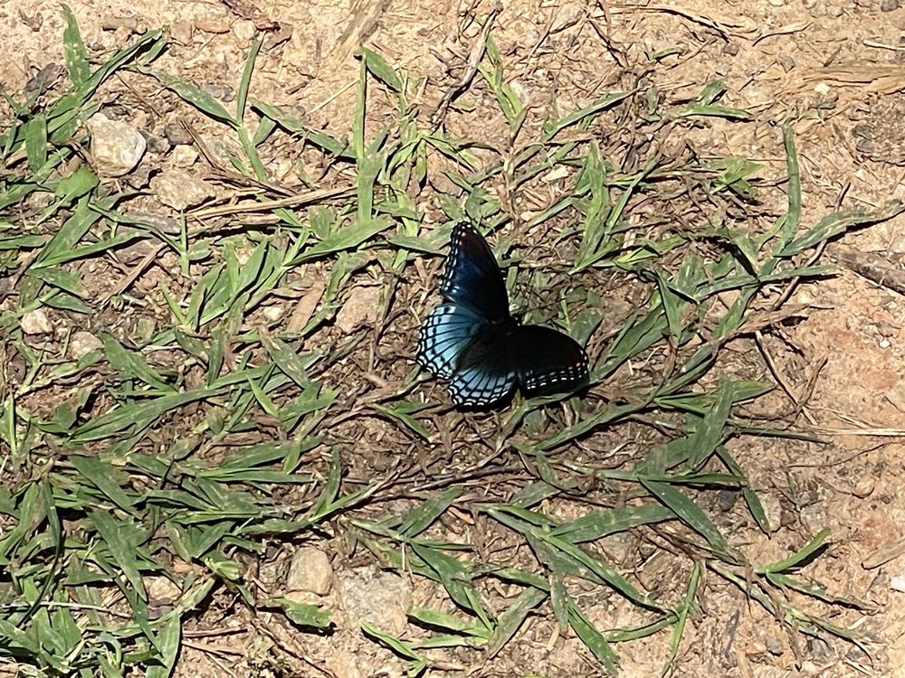 Nalley Brown Nature Park Image