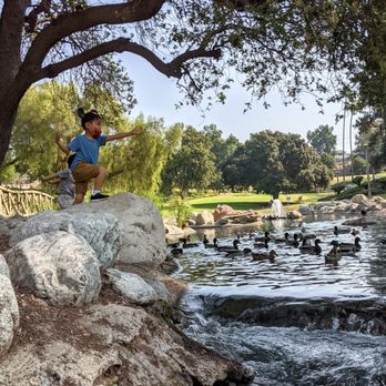 Eisenhower Park - No barrier blocking access to the water. - Parks Near Me - Orange, California
