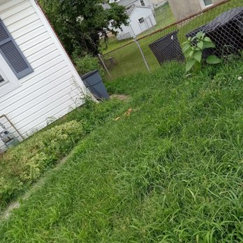 Lawn Love Lawn Care - Landscaping Near Me - Baltimore, Maryland