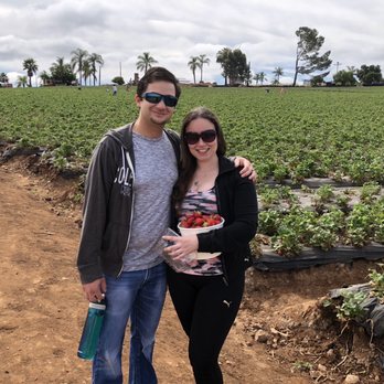 Kenny's Strawberry Farm - Fruits & Veggies Near Me - Fallbrook, California