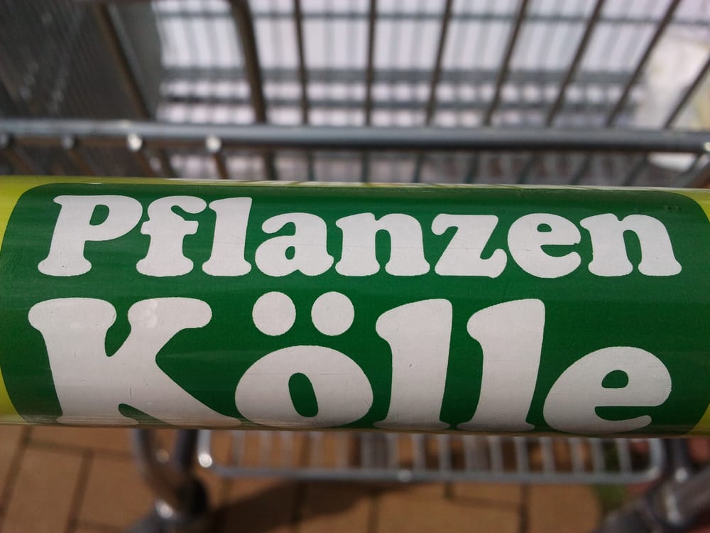 PFLANZENKÖLLE Bollensdorfer Weg 2 4, DahlwitzHoppegarten